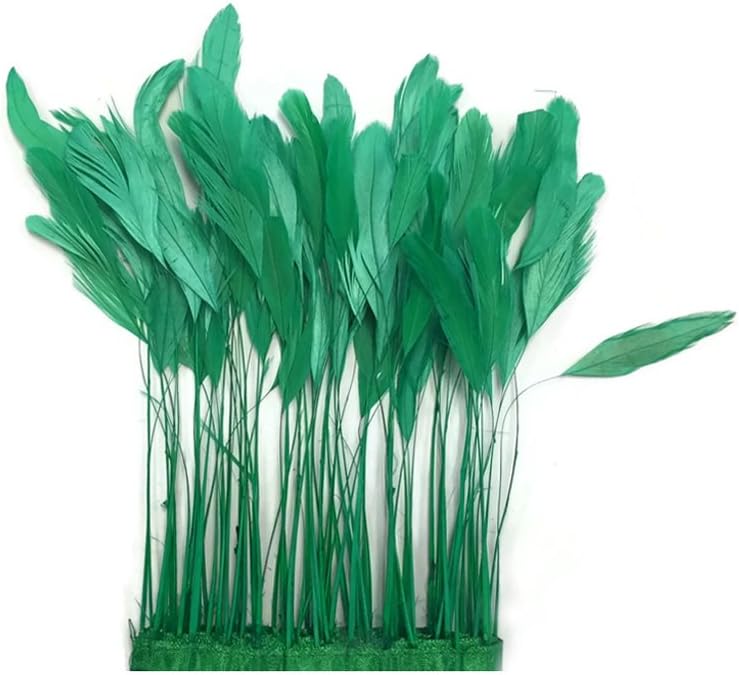 1 Dozen - Kelly Green Stripped Rooster Coque Tail Feathers