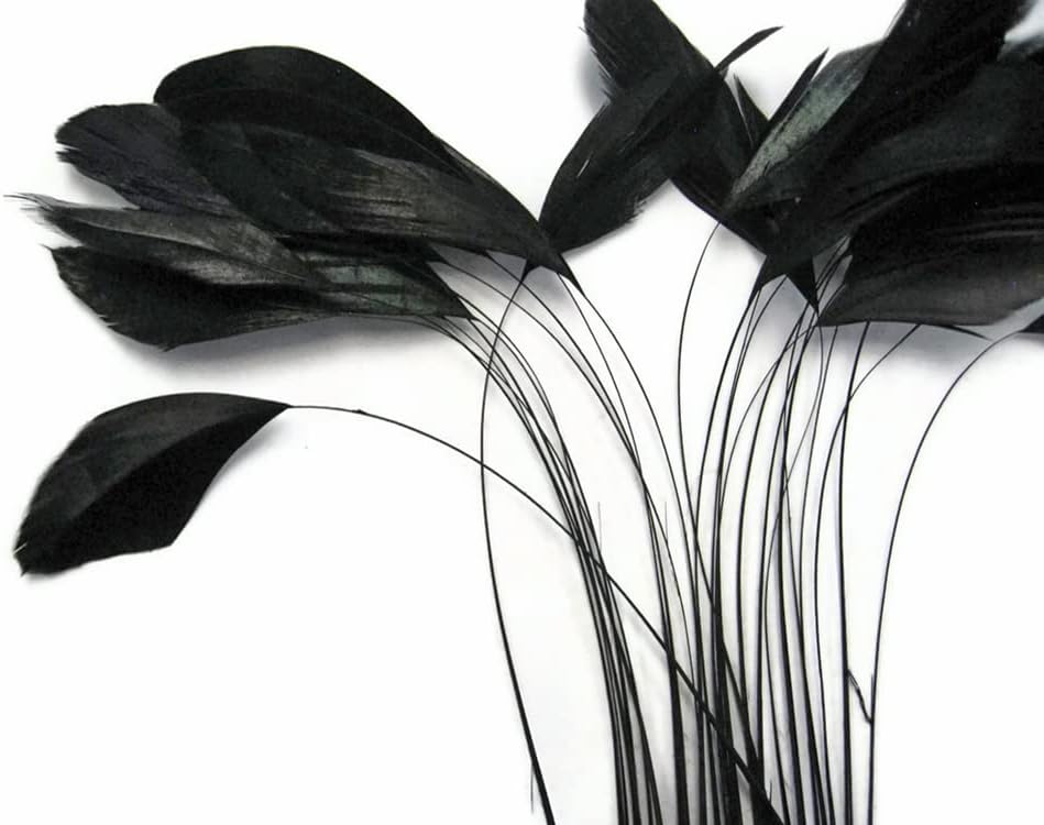 1 Dozen - Black Stripped Rooster Coque Tail Feathers