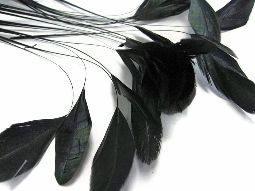 1 Dozen - Black Stripped Rooster Coque Tail Feathers