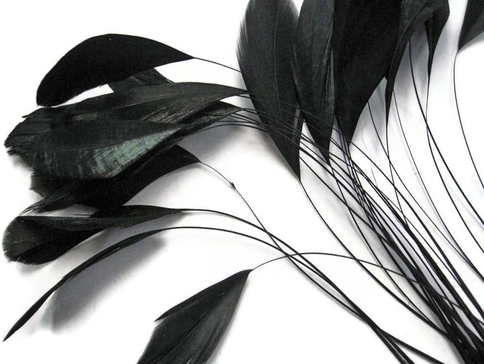 1 Dozen - Black Stripped Rooster Coque Tail Feathers