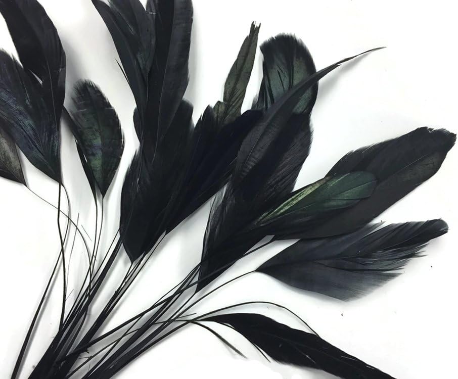 1 Dozen - Black Stripped Rooster Coque Tail Feathers
