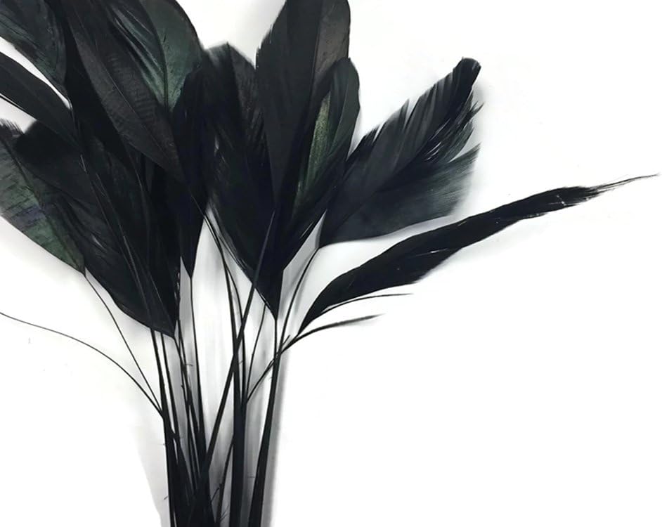 1 Dozen - Black Stripped Rooster Coque Tail Feathers