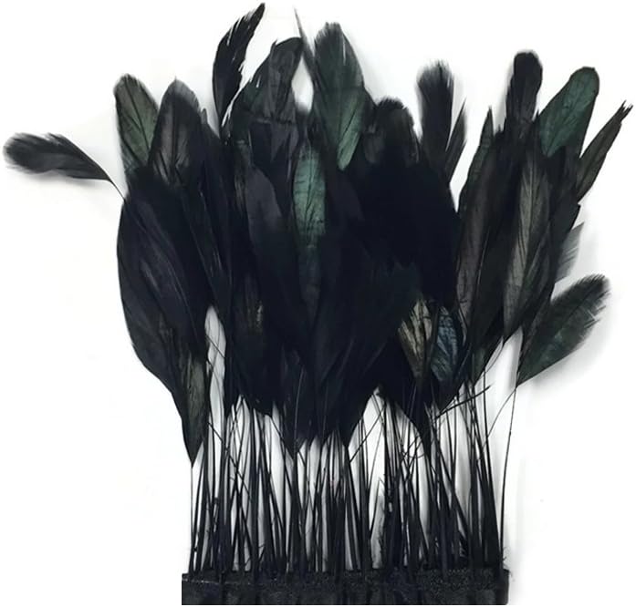 1 Dozen - Black Stripped Rooster Coque Tail Feathers