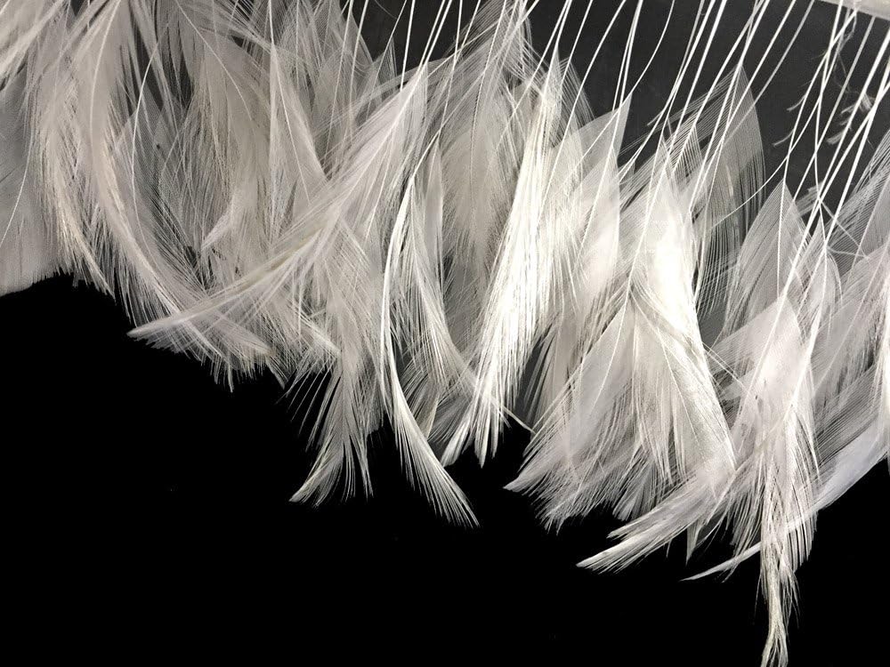 1 Dozen - White Stripped Rooster Neck Hackle Eyelash Feather