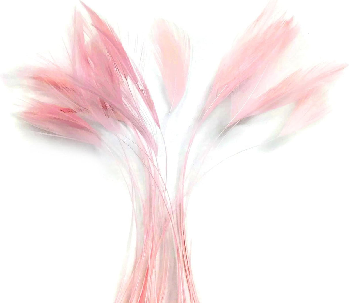 1 Dozen - Light Pink Stripped Rooster Neck Hackle Eyelash Feather