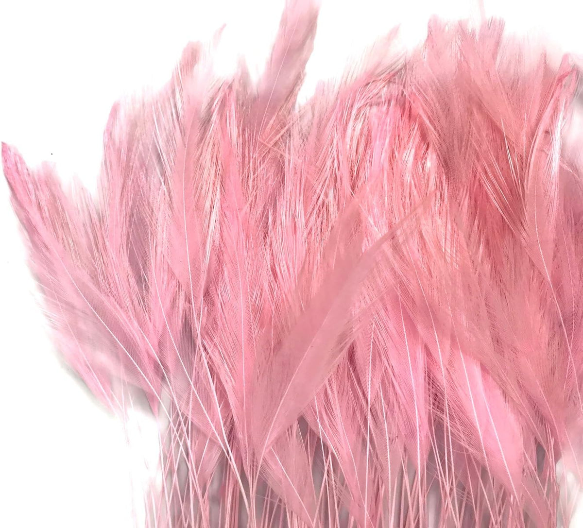 1 Dozen - Light Pink Stripped Rooster Neck Hackle Eyelash Feather