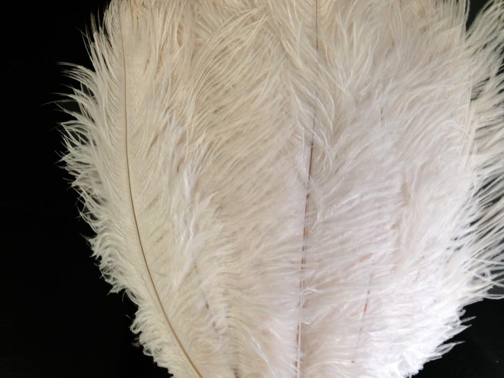 10 Pieces - 6-8" Off White Ostrich Dyed Drabs Body Feathers