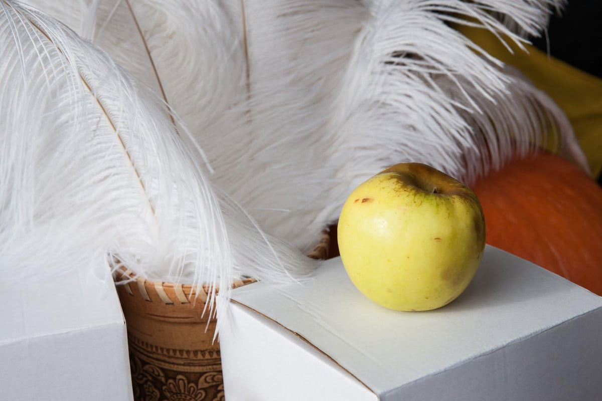 10 Pieces - 6-8" Off White Ostrich Dyed Drabs Body Feathers