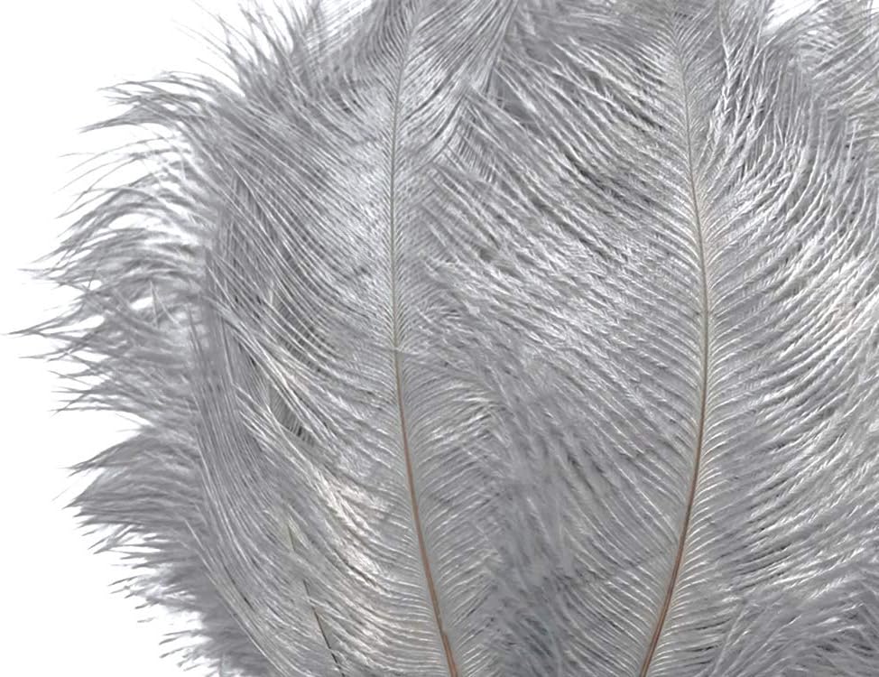 10 Pieces - 6-8" Silver Gray Ostrich Dyed Drabs Body Feathers