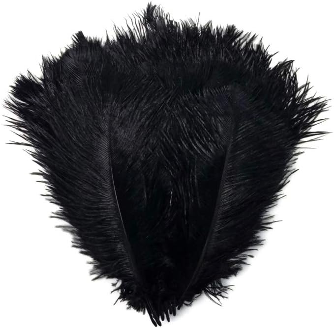 10 Pieces - 6-8" Black Ostrich Dyed Drabs Feathers