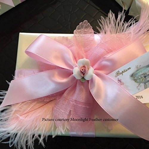 10 Pieces - 6-8" Light Pink Ostrich Dyed Drabs Body Feathers