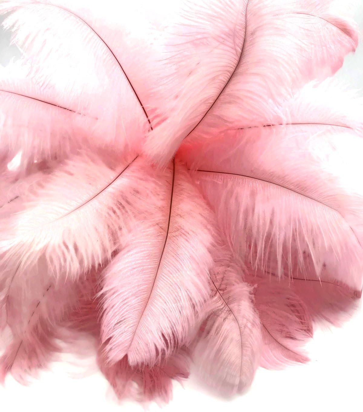 10 Pieces - 6-8" Light Pink Ostrich Dyed Drabs Body Feathers