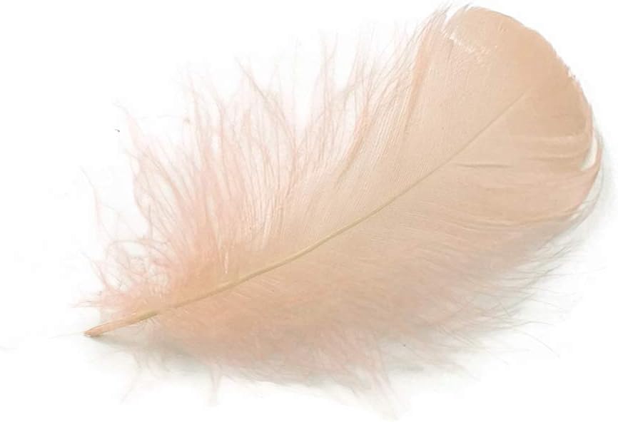 1/4 Lb - 2-3" Champagne Goose Coquille Loose Wholesale Feathers (Bulk)