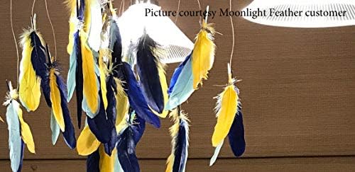 1 Yard - Black Goose Pallet Parried Dyed Feather Trim
