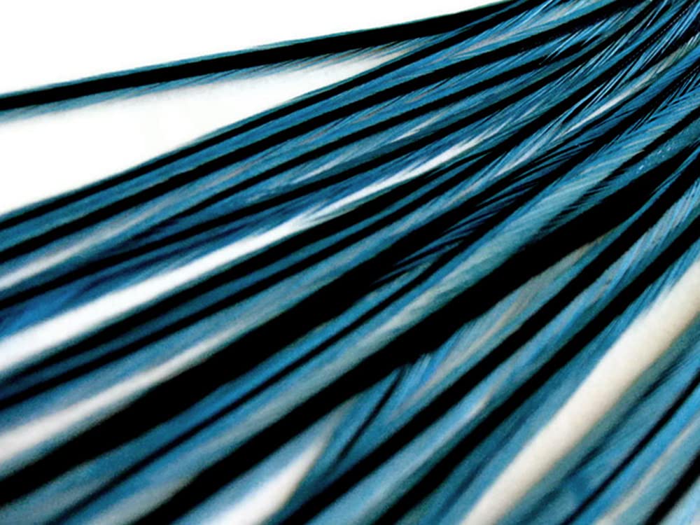 1 Dozen - Medium Kingfisher Blue badger Rooster Saddle Whiting Hair Extension Feathers