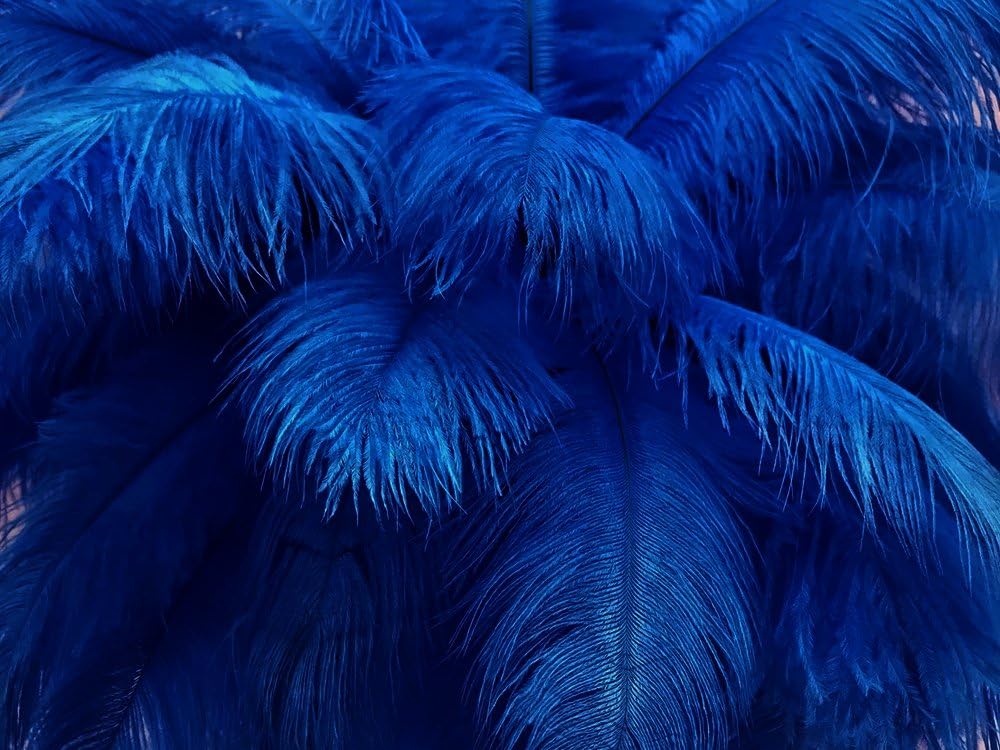 10 Pieces - 11-13" Royal Blue Bleached & Dyed Ostrich Drabs Body Feathers