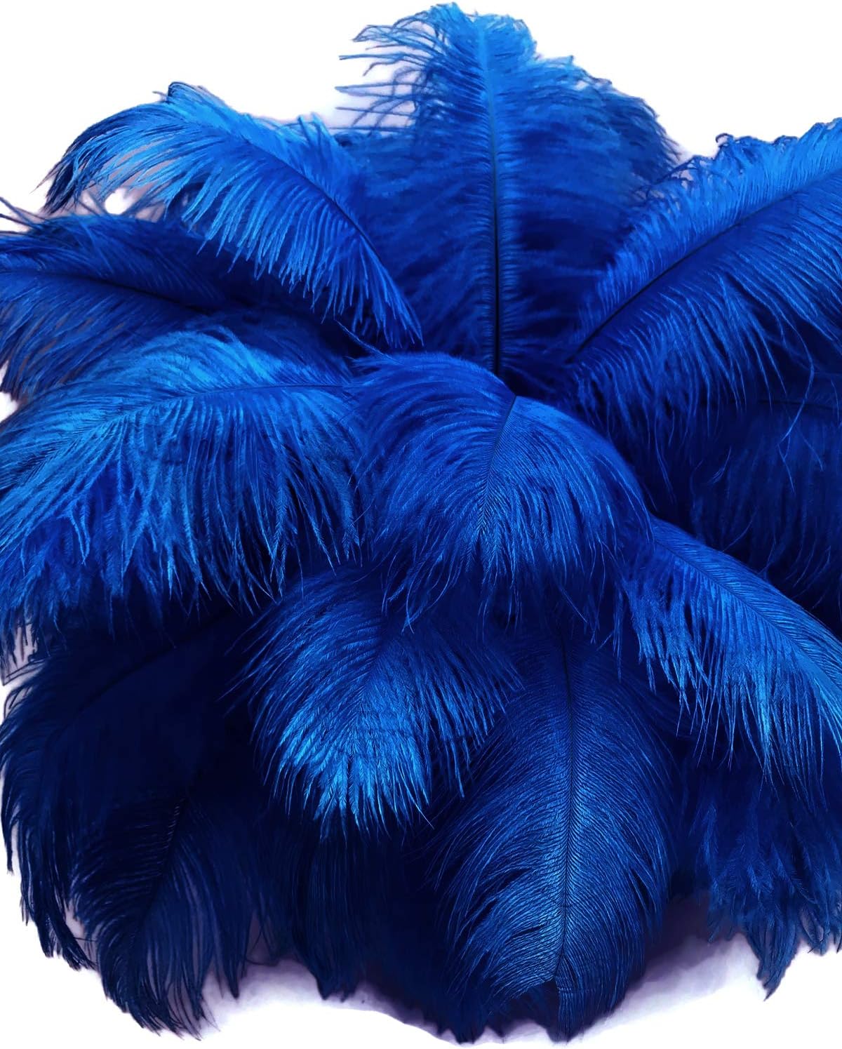 1/2 lb. - 14-17" Royal Blue Ostrich Large Body Drab Wholesale Feathers (Bulk)