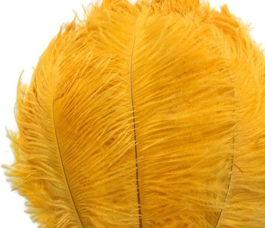 1/2 Lb. - 19-24" Golden Yellow Ostrich Extra Long Drab Wholesale Feathers (Bulk)