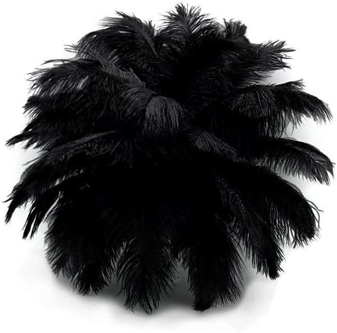 1/2 Lb. - 19-24" Black Ostrich Extra Long Drab Wholesale Feathers (Bulk)