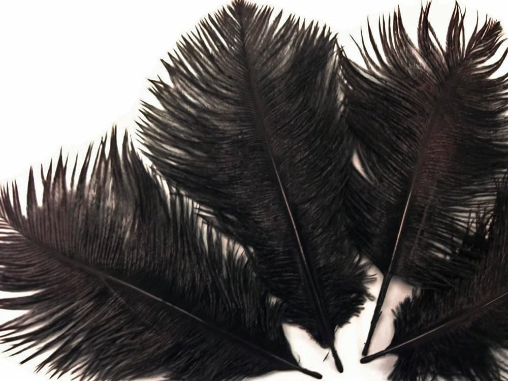 1/2 Lb. - 19-24" Black Ostrich Extra Long Drab Wholesale Feathers (Bulk)