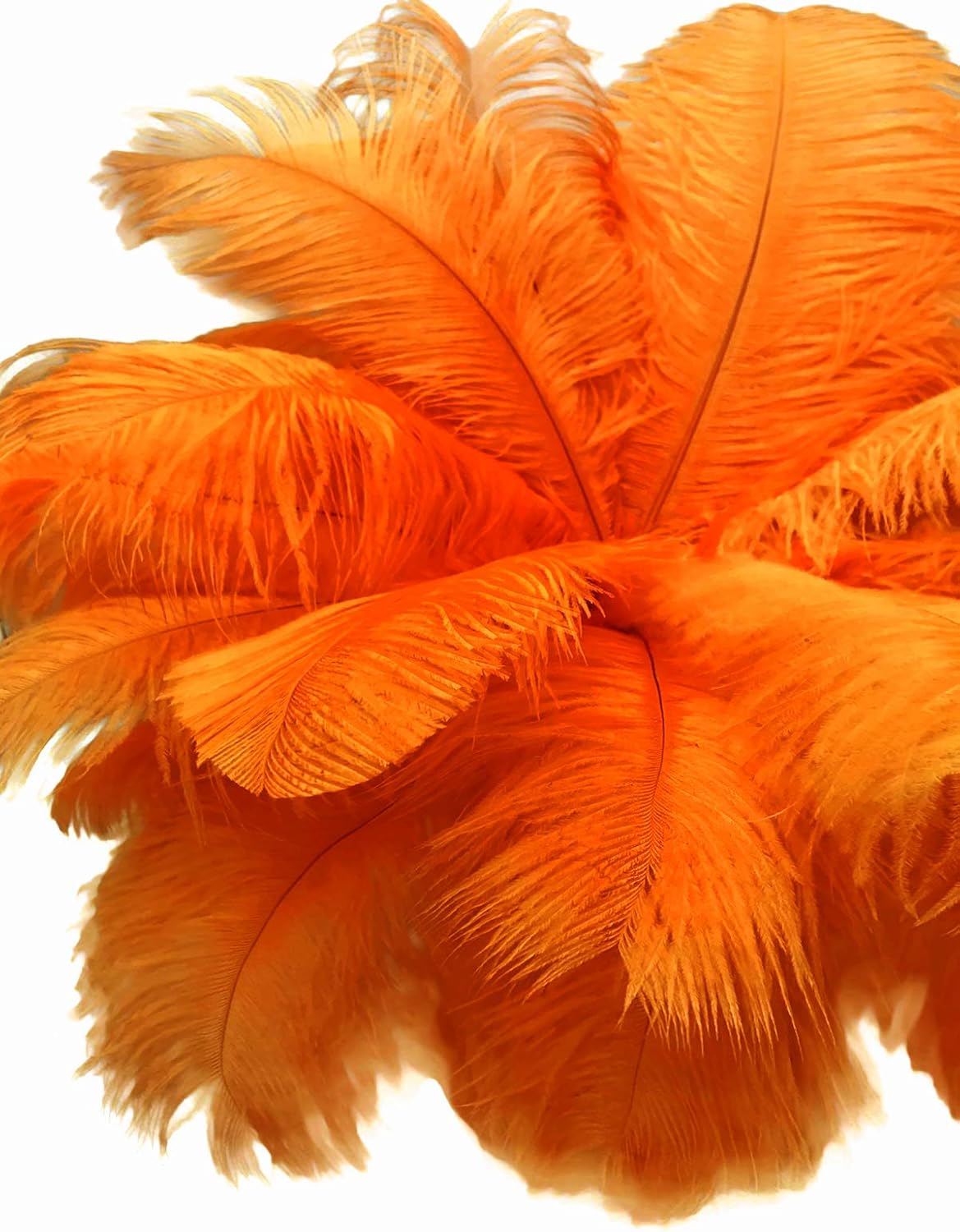1/2 lb. - 14-17" Orange Ostrich Large Body Drab Wholesale Feathers (Bulk)