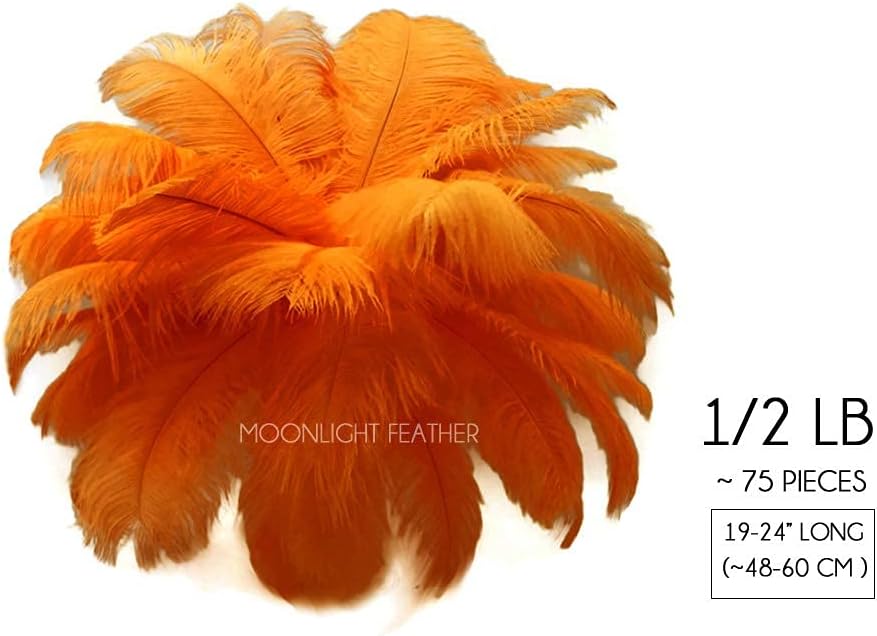 1/2 Lb - 19-24" Orange Ostrich Extra Long Drab Wholesale Feathers (Bulk)