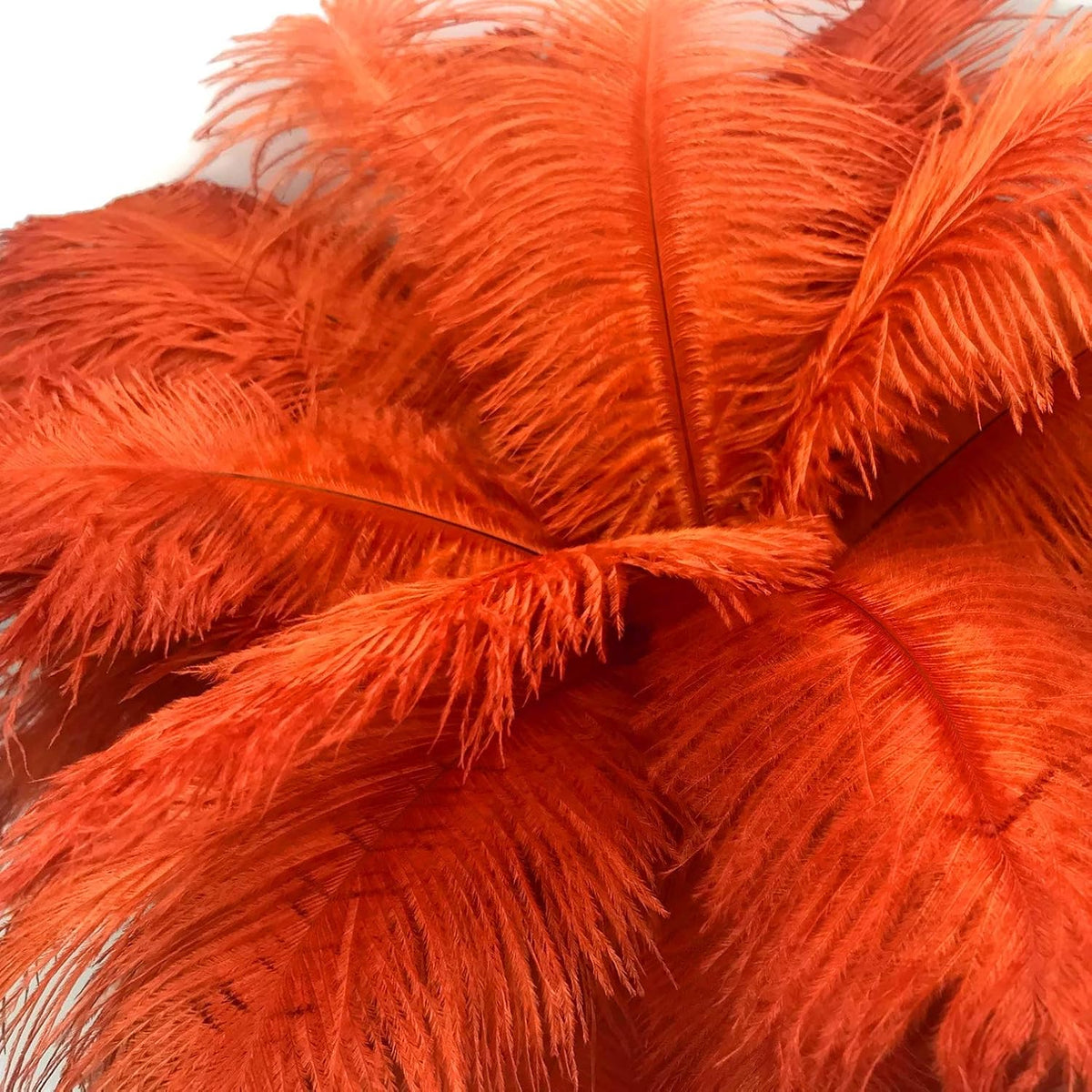 1/2 lb. - 14-17" Burnt orange Ostrich Large Body Drab Wholesale Feathers (Bulk)
