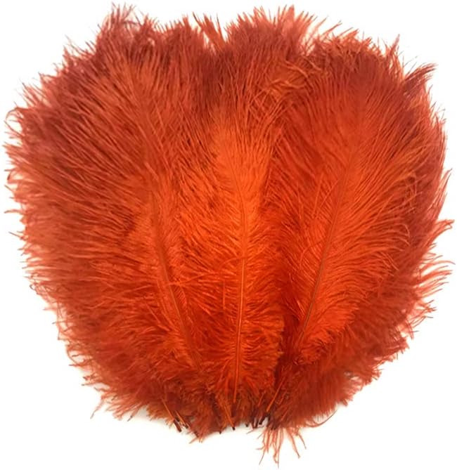 1/2 lb. - 14-17" Burnt orange Ostrich Large Body Drab Wholesale Feathers (Bulk)