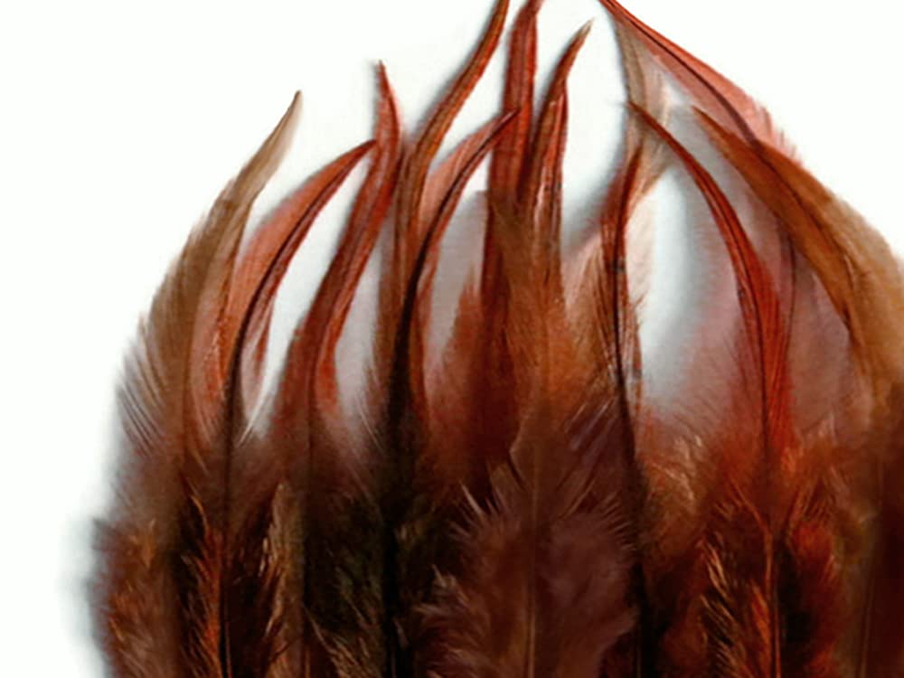 1 Dozen - Medium Solid Brown Rooster Saddle Whiting Hair Extension Feathers