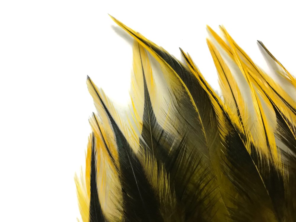 1 Dozen - Medium Yellow Badger Rooster Saddle Whiting Hair Extension Feathers