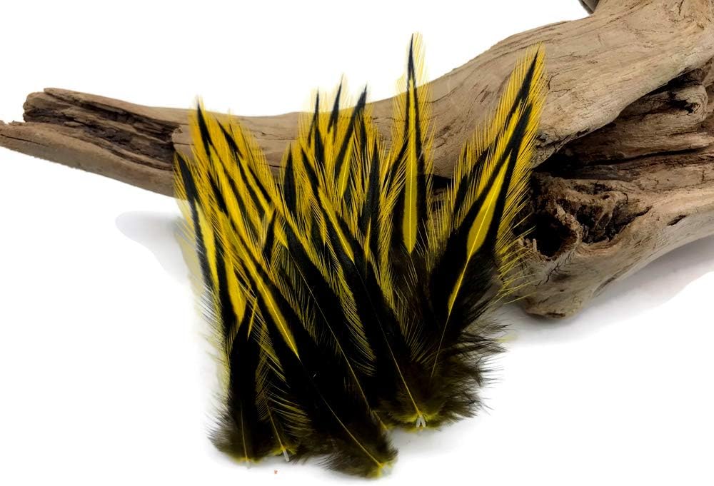 10 Pieces - Sunshine Yellow Dyed BLW Laced Long Rooster Cape Whiting Farms Feathers