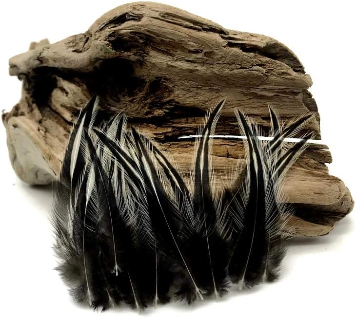 10 Pieces - Natural White Dyed BLW Laced Short Rooster Cape Whiting Farms Feathers