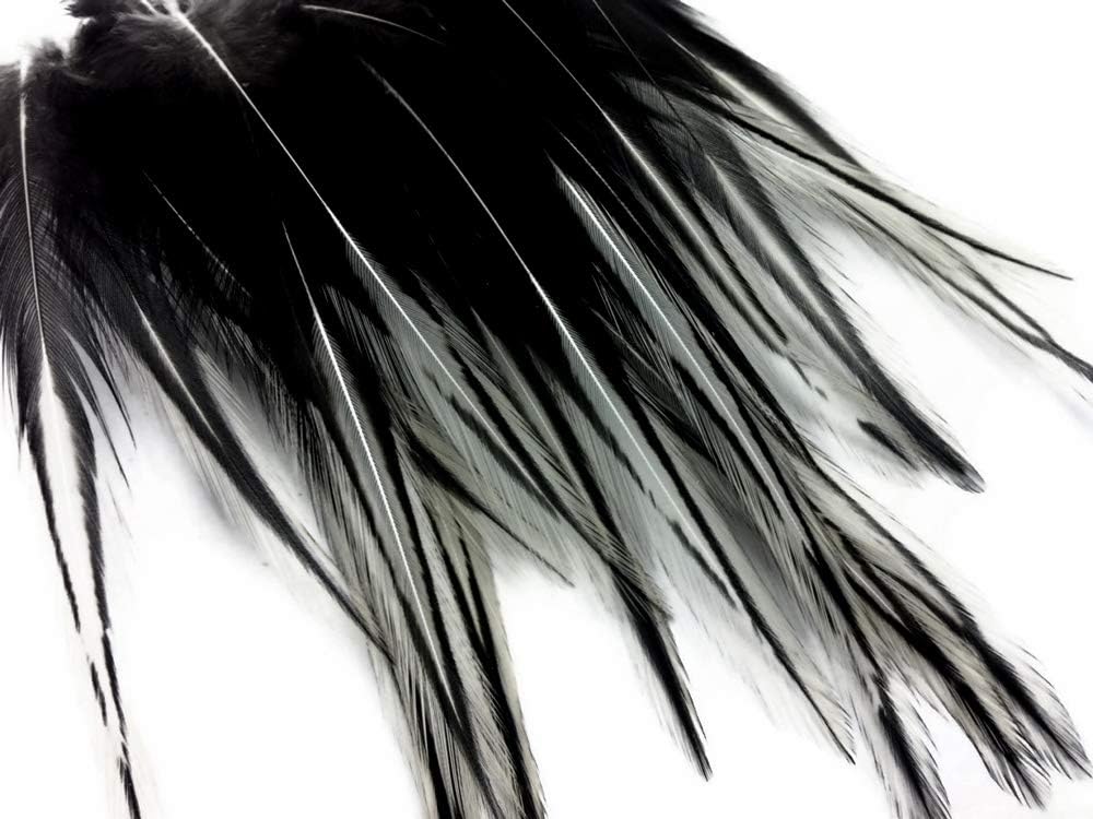 10 Pieces - Natural White Dyed BLW Laced Long Rooster Cape Whiting Farms Feathers