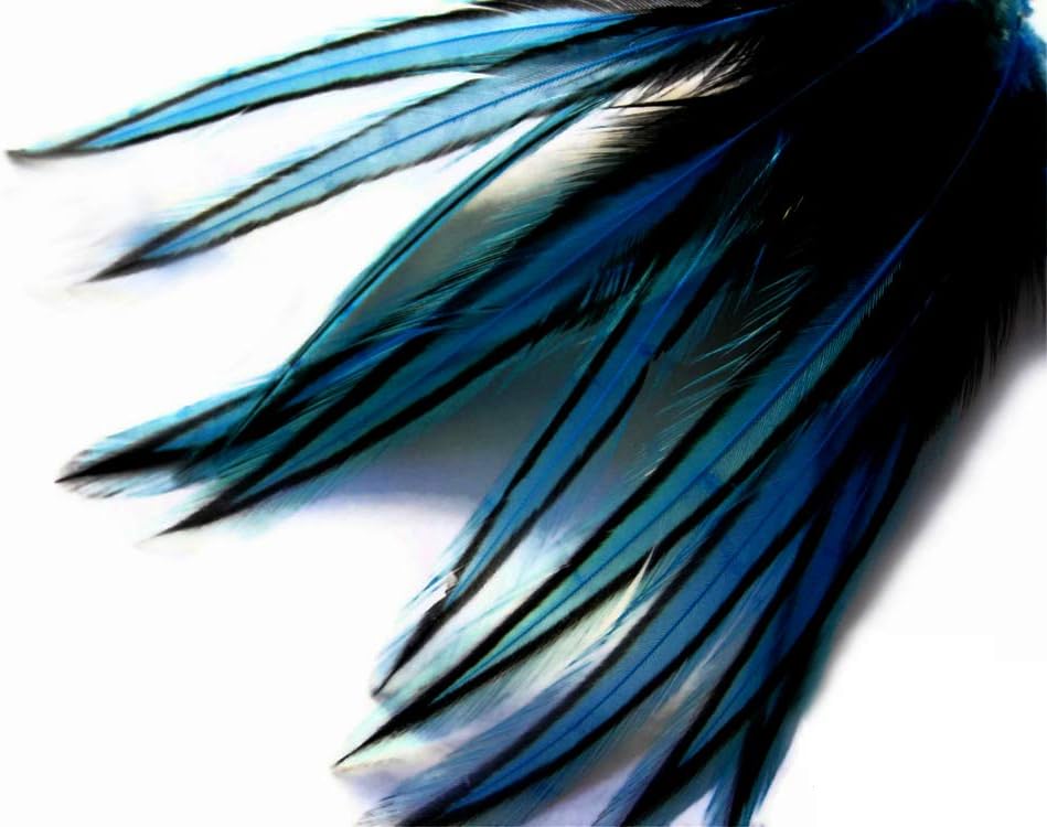 10 Pieces - Kingfisher Blue Dyed BLW Laced Long Rooster Cape Whiting Farms Feathers