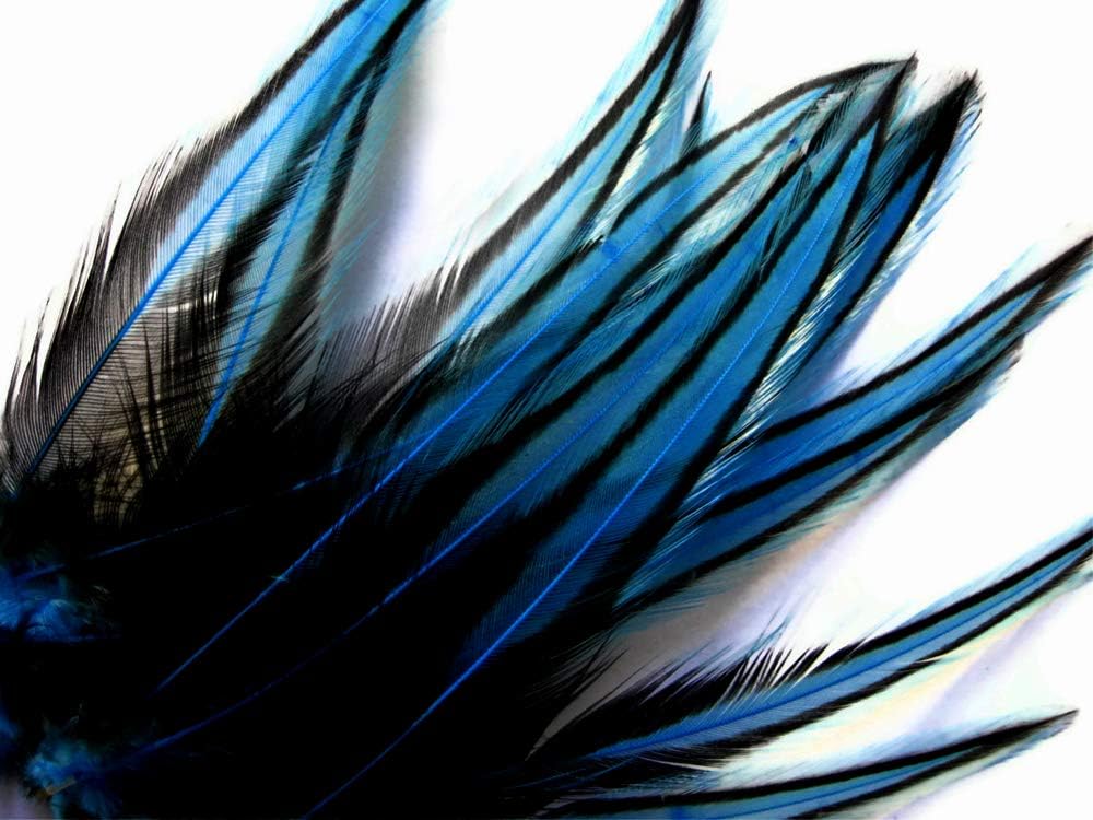 10 Pieces - Kingfisher Blue Dyed BLW Laced Long Rooster Cape Whiting Farms Feathers