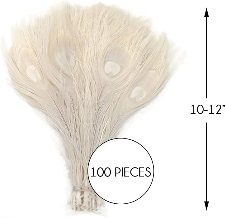 100 Pieces - Ivory Bleached Peacock Tail Eye Wholesale Feathers 10-12" Long (Bulk)