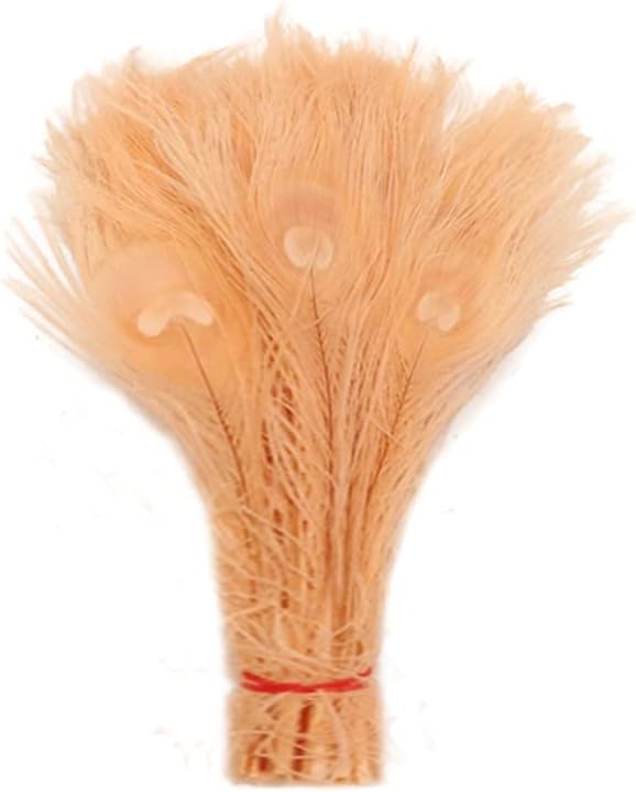 100 Pieces – Peach Pink Bleached & Dyed Peacock Tail Eye Wholesale Feathers (Bulk) 10-12” Long