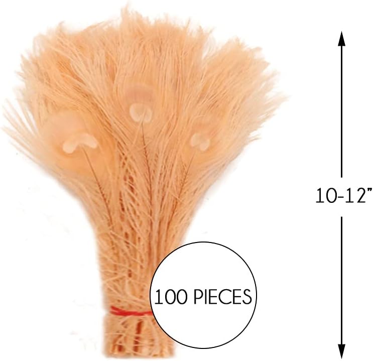 100 Pieces – Peach Pink Bleached & Dyed Peacock Tail Eye Wholesale Feathers (Bulk) 10-12” Long
