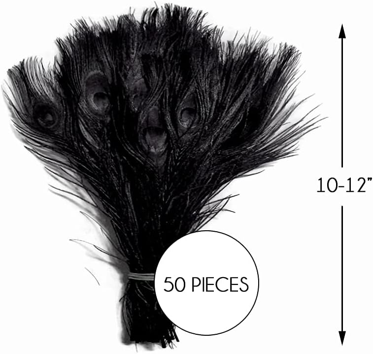 50 Pieces – Black Bleached & Dyed Peacock Tail Eye Wholesale Feathers (Bulk) 10-12” Long