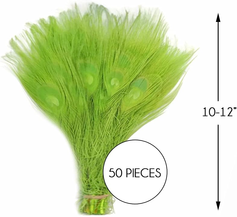 50 Pieces – Lime Green Bleached & Dyed Peacock Tail Eye Wholesale Feathers (Bulk) 10-12” Long