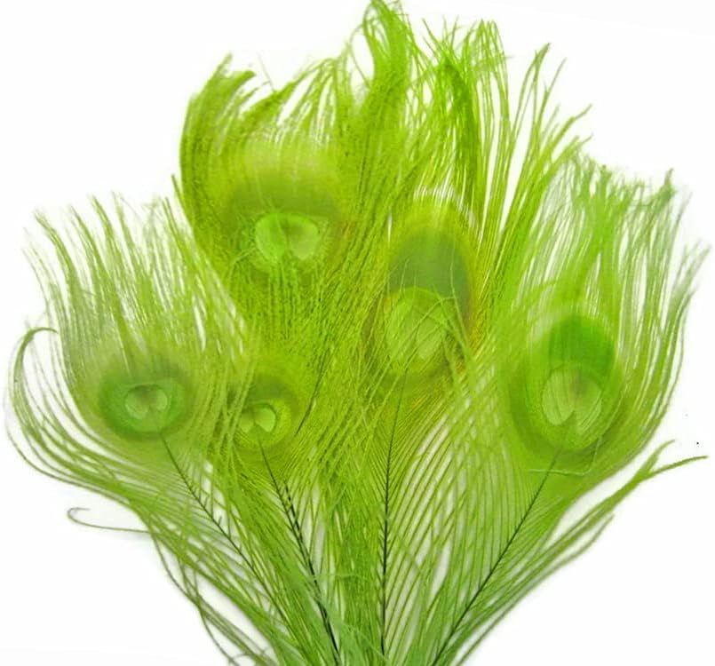 100 Pieces – Lime Green Bleached & Dyed Peacock Tail Eye Wholesale Feathers (Bulk) 10-12” Long