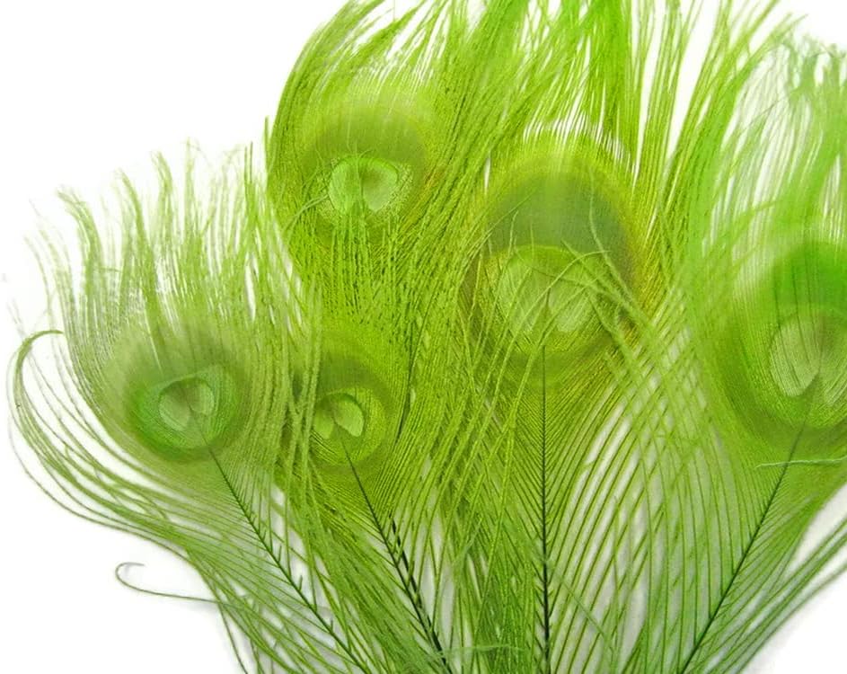 50 Pieces – Lime Green Bleached & Dyed Peacock Tail Eye Wholesale Feathers (Bulk) 10-12” Long