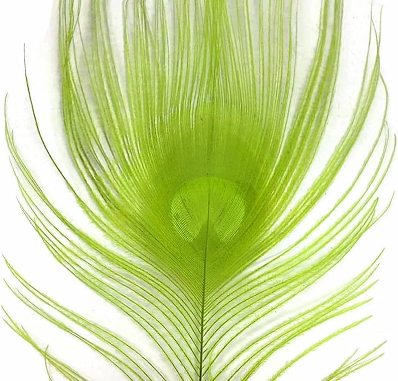 100 Pieces – Lime Green Bleached & Dyed Peacock Tail Eye Wholesale Feathers (Bulk) 10-12” Long