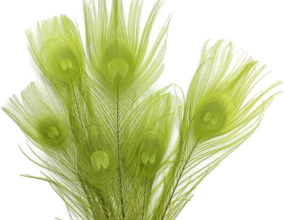 100 Pieces – Lime Green Bleached & Dyed Peacock Tail Eye Wholesale Feathers (Bulk) 10-12” Long