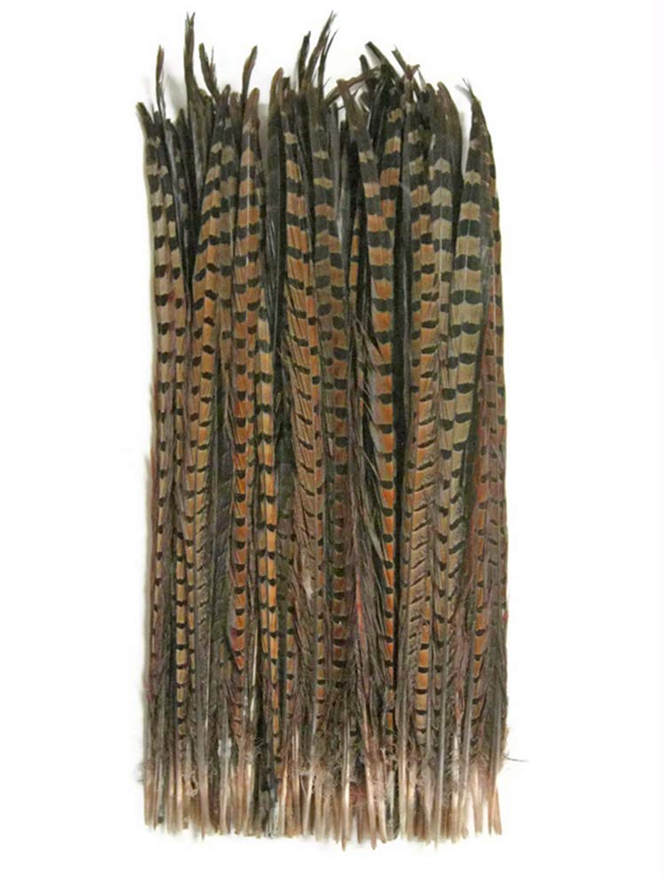 10 Pieces - 14-16" Natural Long Ringneck Pheasant Tail Feathers