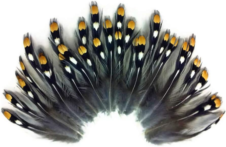 10 Pieces - Natural Gold Jungle Cock Big Eye Loose Feather