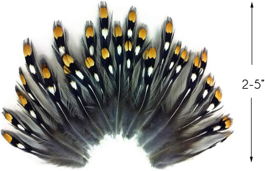 10 Pieces - Natural Gold Jungle Cock Big Eye Loose Feather