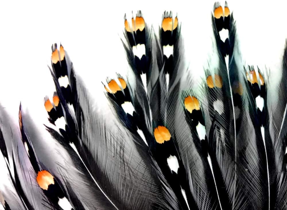 10 Pieces - Natural Gold Jungle Cock Big Eye Loose Feather