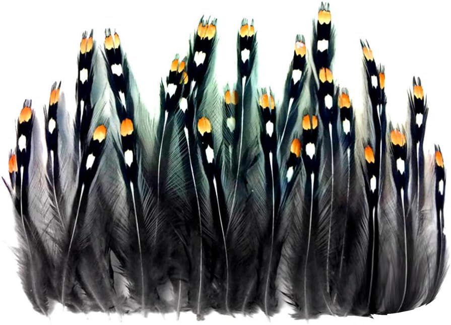 10 Pieces - Natural Gold Jungle Cock Big Eye Loose Feather