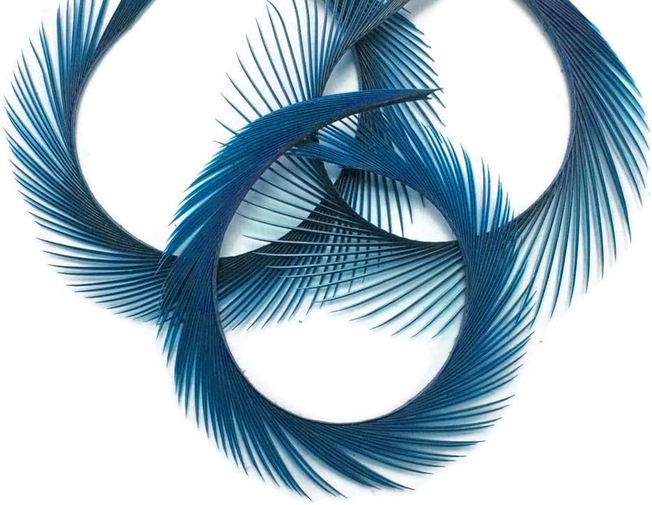 1 Yard - Turquoise Blue Goose Biots Stripped Wing Wholesale Feather Trim